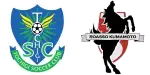 Tochigi x Roasso Kumamoto