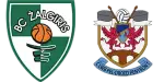 Kauno Žalgiris x Penybont