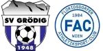 Grodig x FAC