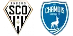 Angers x Niort