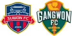 Suwon x Gangwon