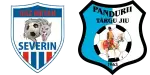 Turnu Severin x Pandurii Târgu Jiu