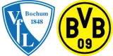 VfL Bochum 1848 vs Borussia Dortmund
