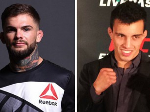 Análise: Tarec Saffiedine vs Rick Story (UFC - 29 maio 2016)