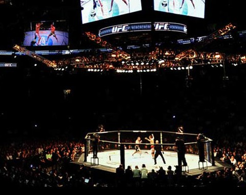 Mixed Martial Arts (UFC)