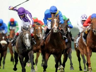 Apuestas en vivo en carreras de caballos: cómo obtener ventaja