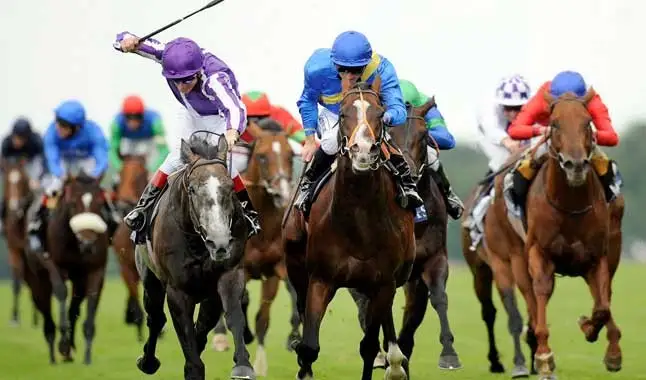Horse racing betting In-Play: get an advantage