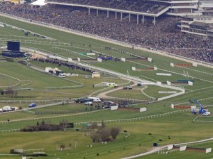 Apostar em corridas de cavalos: estudar o hipódromo em primeiro lugar