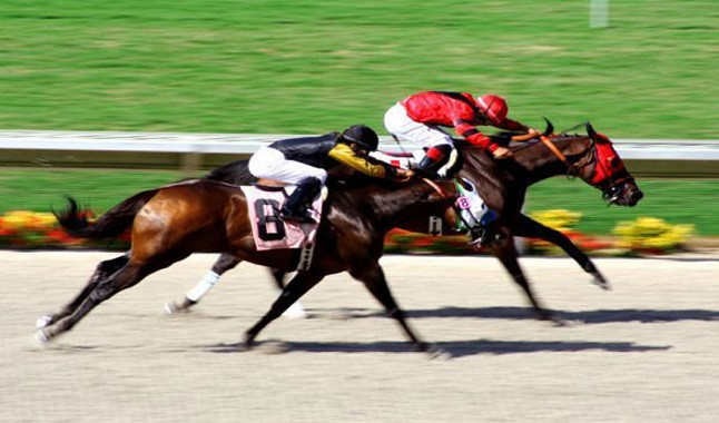 Argentina may release Palermo Racecourse
