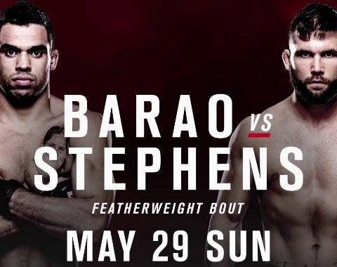 Análise: Renan Barão vs Jeremy Stephens (UFC - 29 maio 2016)