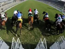 Apostas ao vivo em corridas de cavalos: obtém uma vantagem