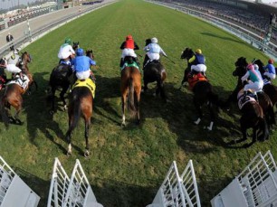 Apuestas en vivo en carreras de caballos: cómo obtener ventaja