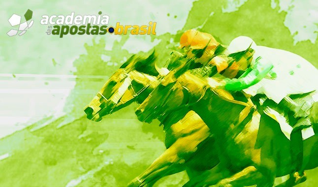 Apostas em cavalos - estamos na pista! Trancos e barrancos