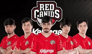 CBLoL 2021: RED Canids supera Vorax e se classifica para a final