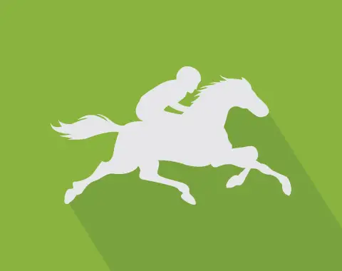 Horse Betting - we're on track! Slow Profile