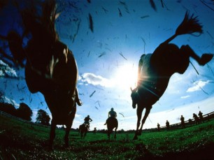 What are the basics of horse racing in the UK?