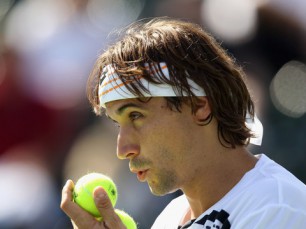 Análise do jogo: David Ferrer vs Ivo Karlovic (ATP 250 de Viena)