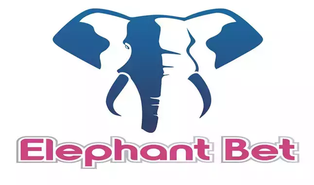 Elephant Bet Review - A primeira casa de apostas angolana!