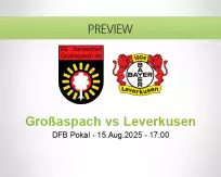 Großaspach Leverkusen betting prediction (15 August 2025)