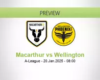 Macarthur vs Wellington