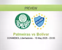 Palmeiras Bolívar betting prediction (15 May 2025)