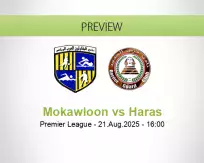 Mokawloon vs Haras
