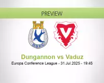 Dungannon Vaduz betting prediction (31 July 2025)