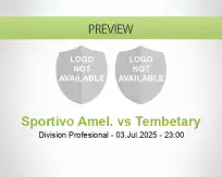 Sportivo Amel. Tembetary betting prediction (04 July 2025)