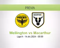 Pronóstico Wellington Macarthur (13 diciembre 2024)