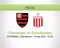 Flamengo vs Estudiantes