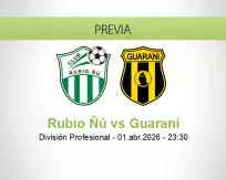 Rubio Ñú vs Guaraní