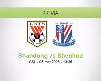Shandong vs Shenhua