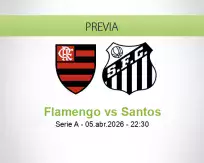 Flamengo vs Santos