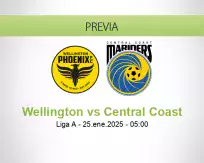 Pronóstico Wellington Central Coast (24 enero 2025)