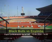 Pronóstico Black Bulls Enyimba (15 diciembre 2024)