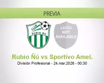 Rubio Ñú vs Sportivo Amel.