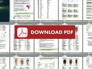 Guia para apostar na CAN 2017 - ebook em PDF