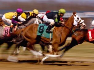 Trading em Corridas de Cavalos