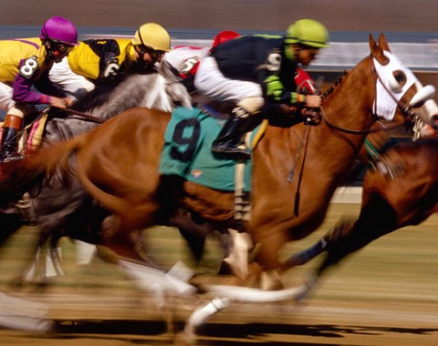 Trading em Corridas de Cavalos
