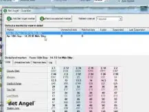 How to set up Mutli market trading with Bet Angel - Betfair trading