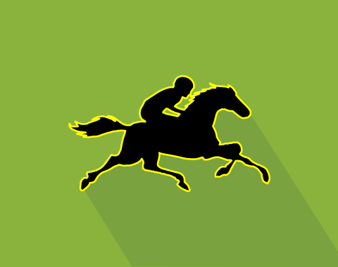 ¡Apuestas en caballos - estamos en la pista! Regreso prometedor en Newcastle