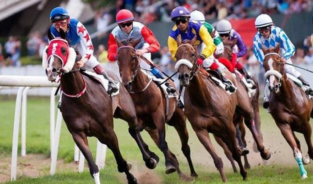 Exención de tasas en las carreras de caballos