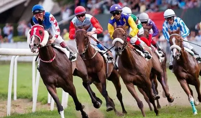 Exención de tasas en las carreras de caballos