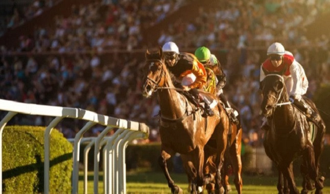 New rules are announced to strengthen horse racing and Syndicates