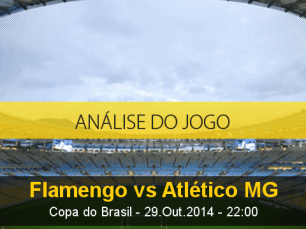 Análise do jogo: Flamengo X Atlético Mineiro (29 Outubro 2014)