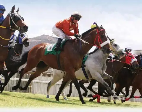 Trading en Carreras de Caballos